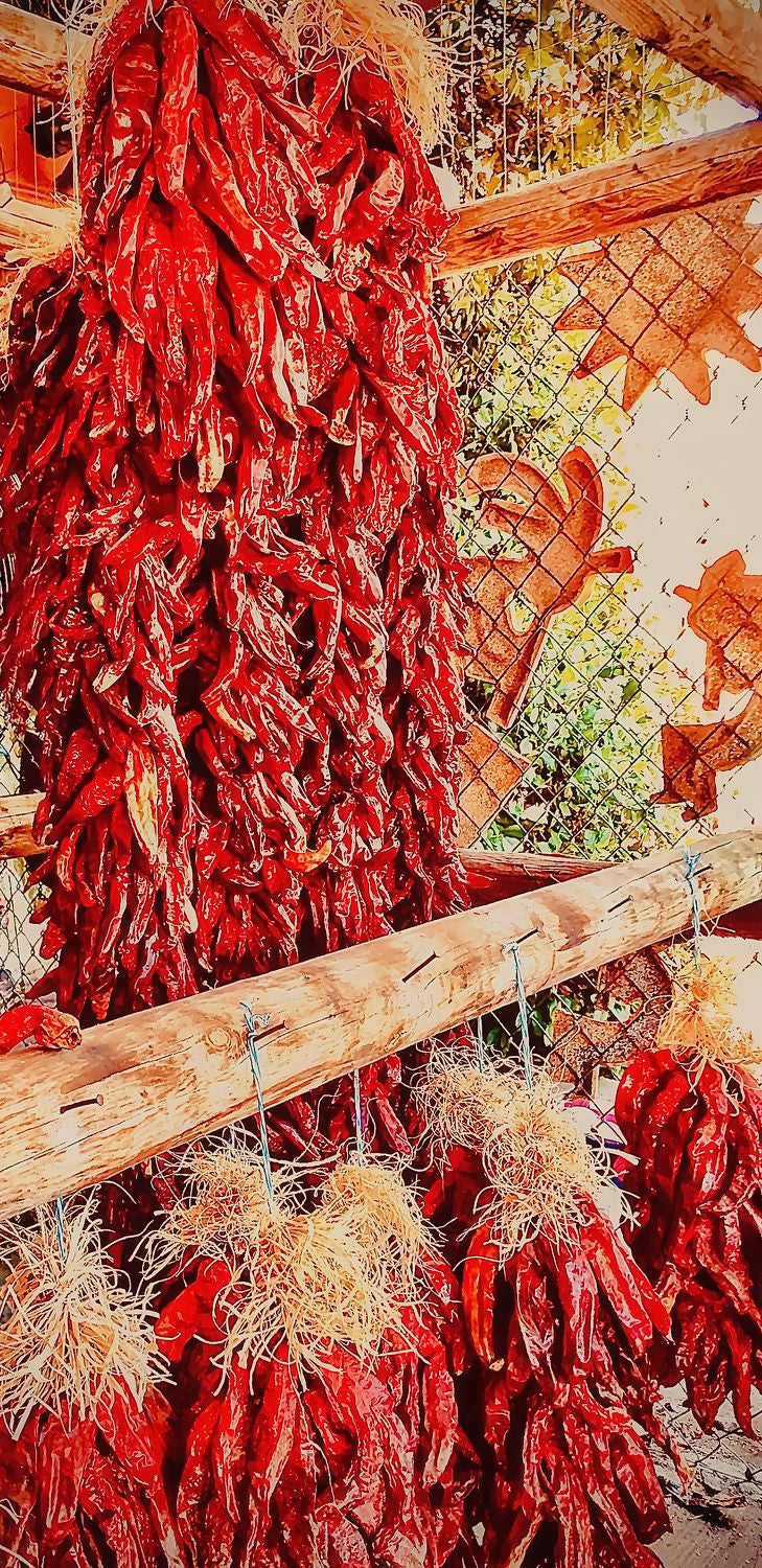 Drying Red Chilies in the Southwest Air