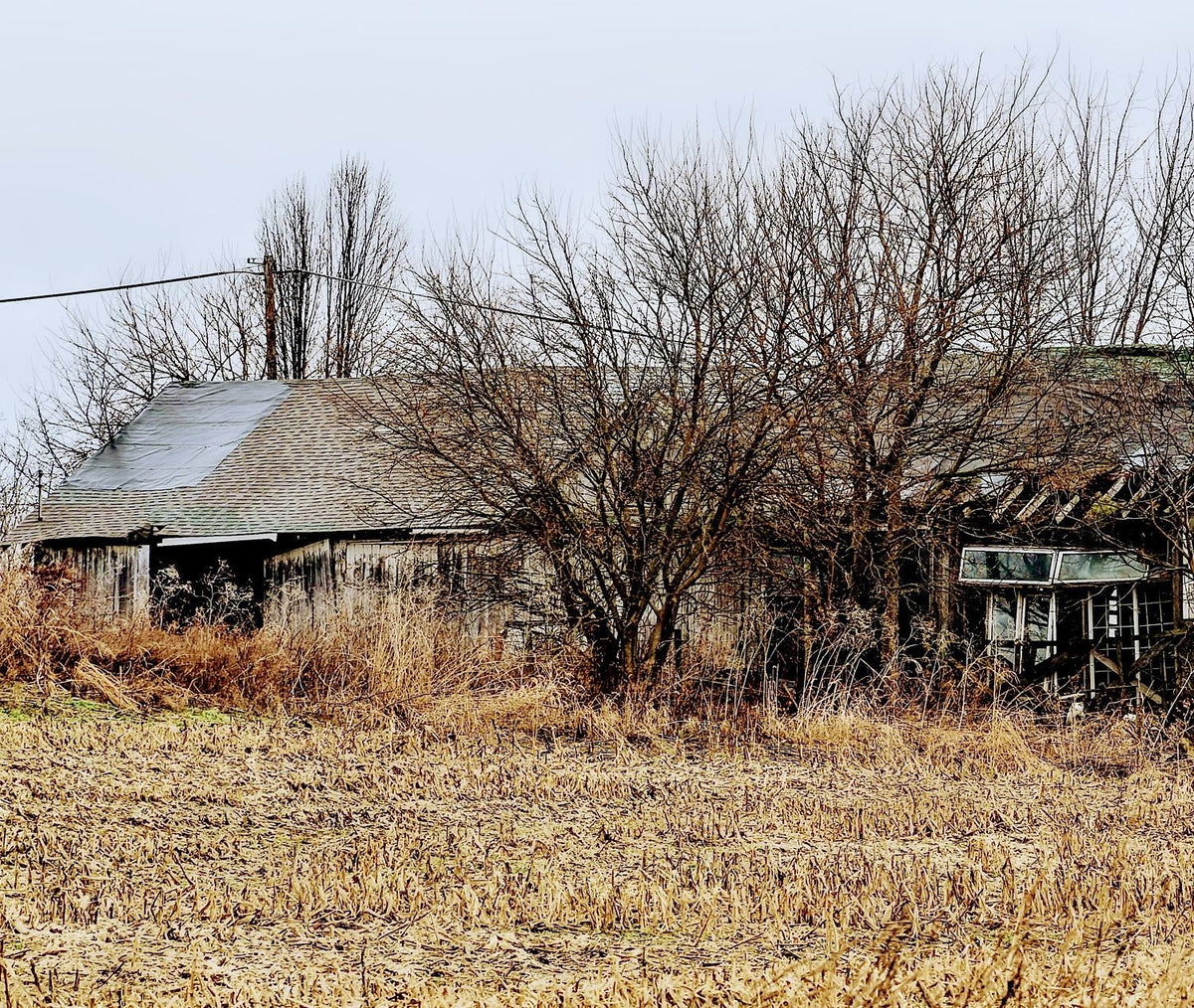 Former Moonshine Building