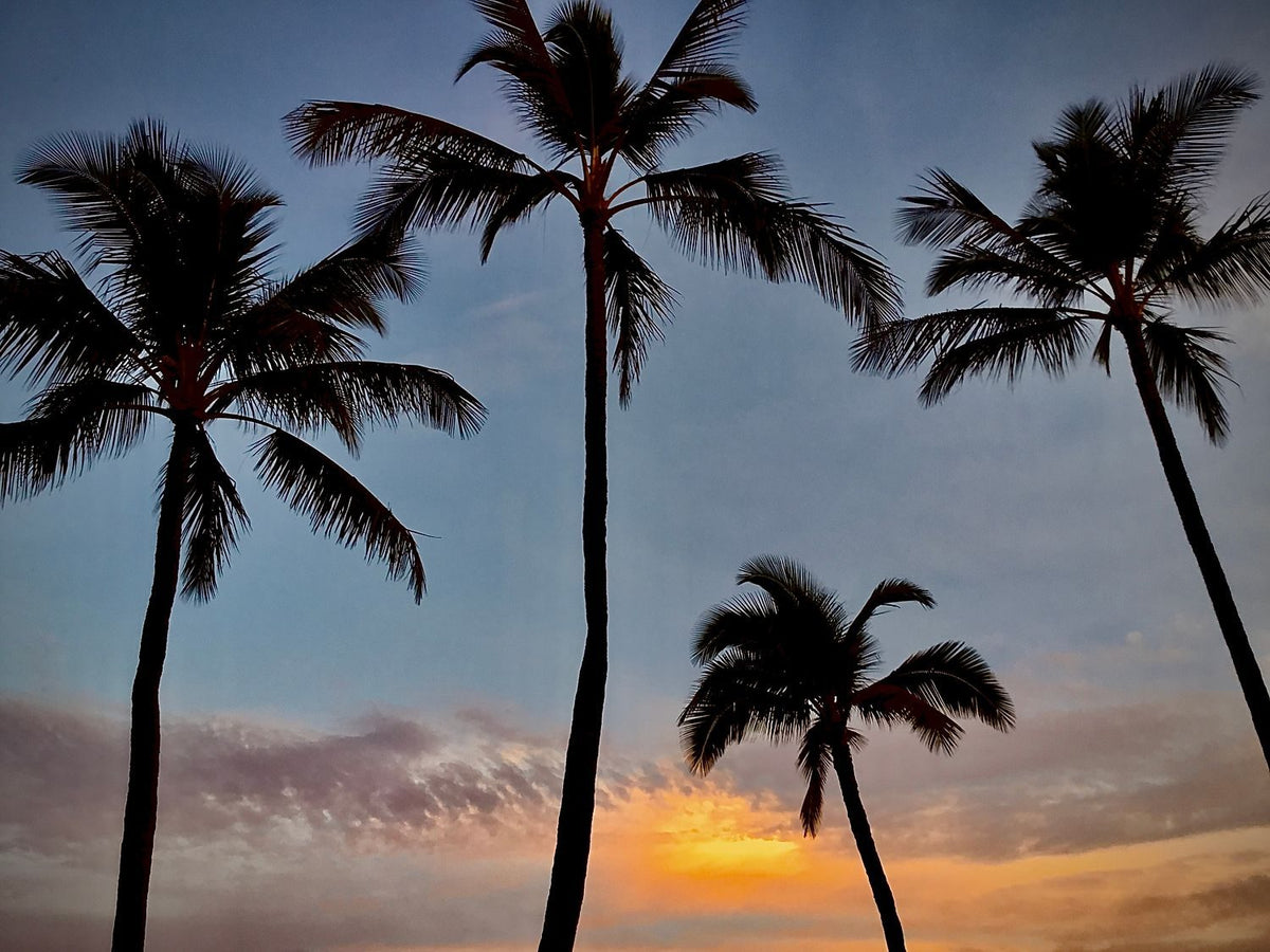Golden Sunset in Maui