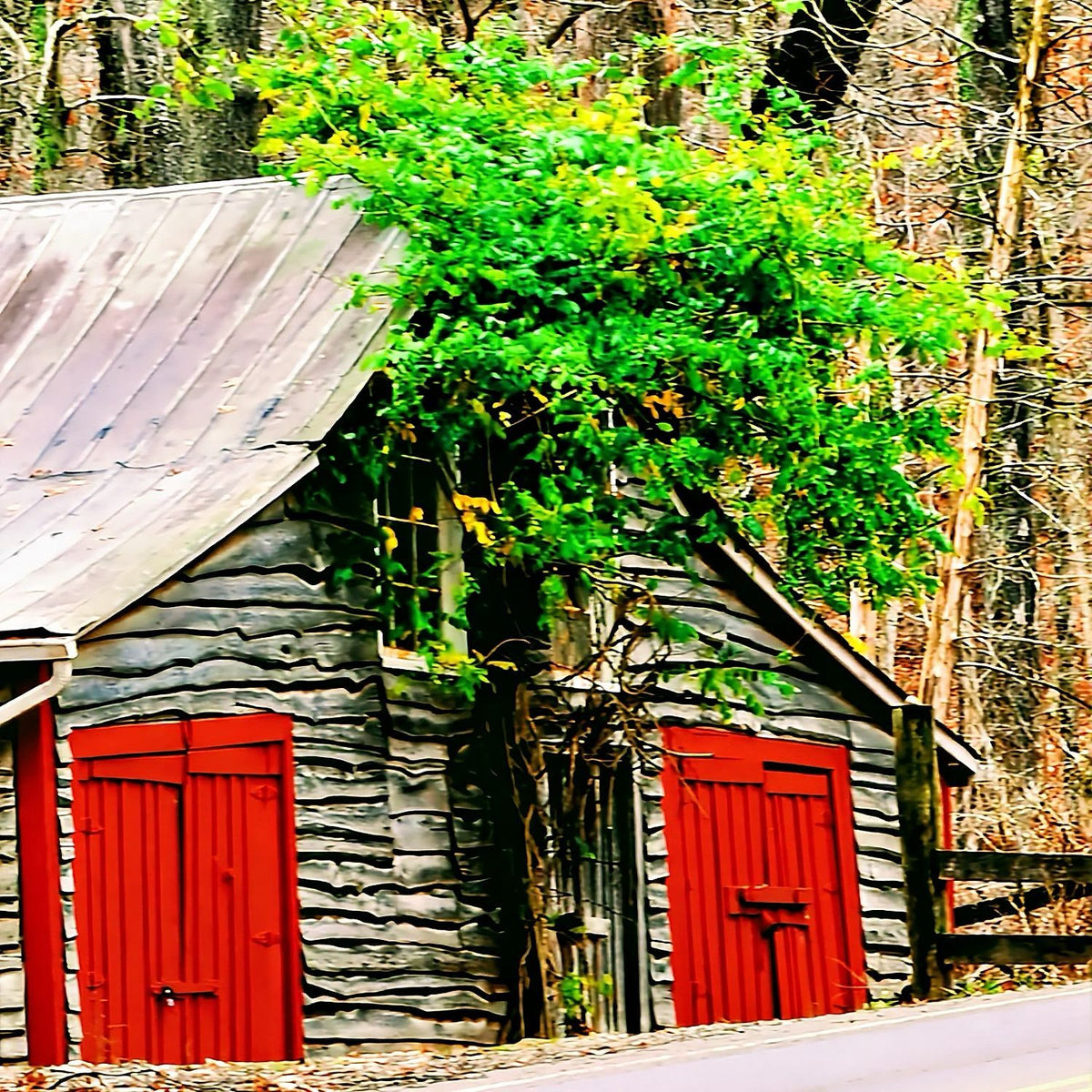 Rustic Barn with Red Shutters