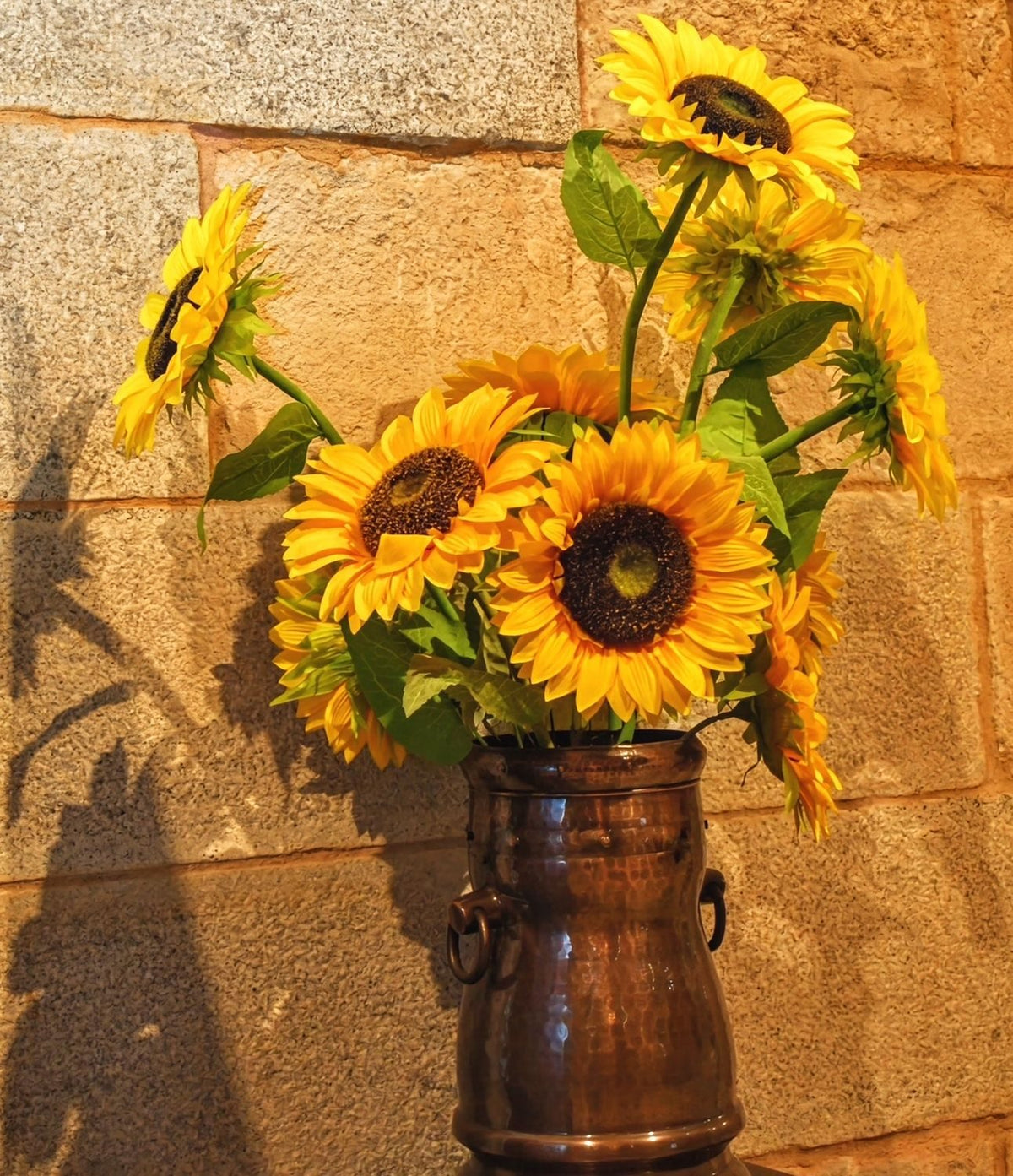 Sunflowers in Tuscany