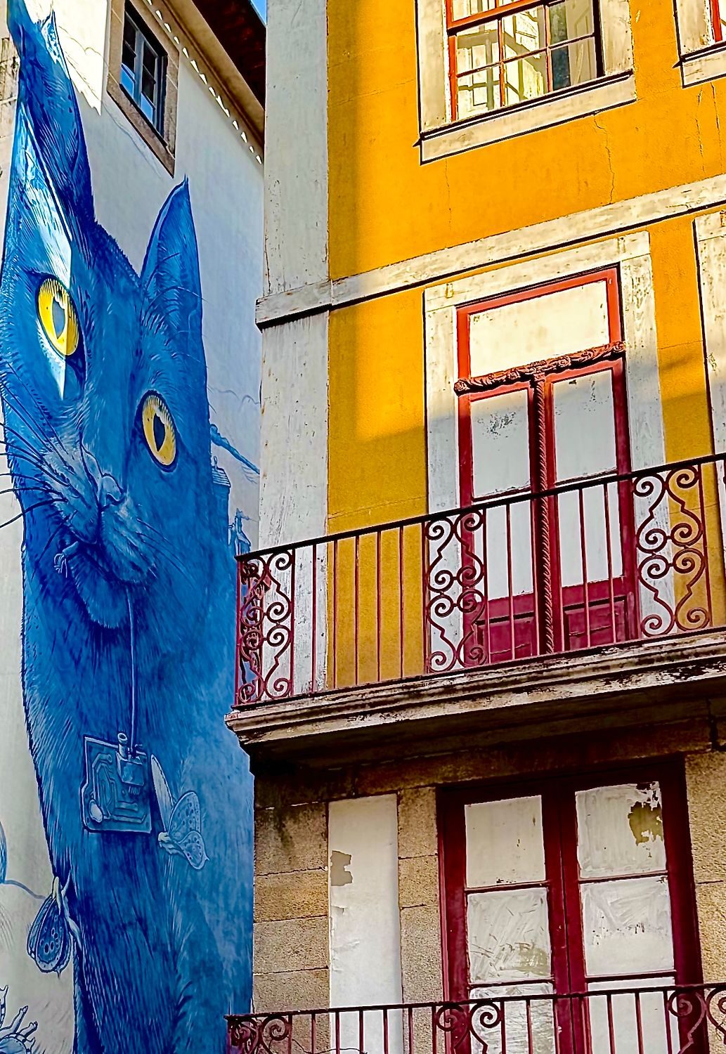 The Blue Cat of Madrid