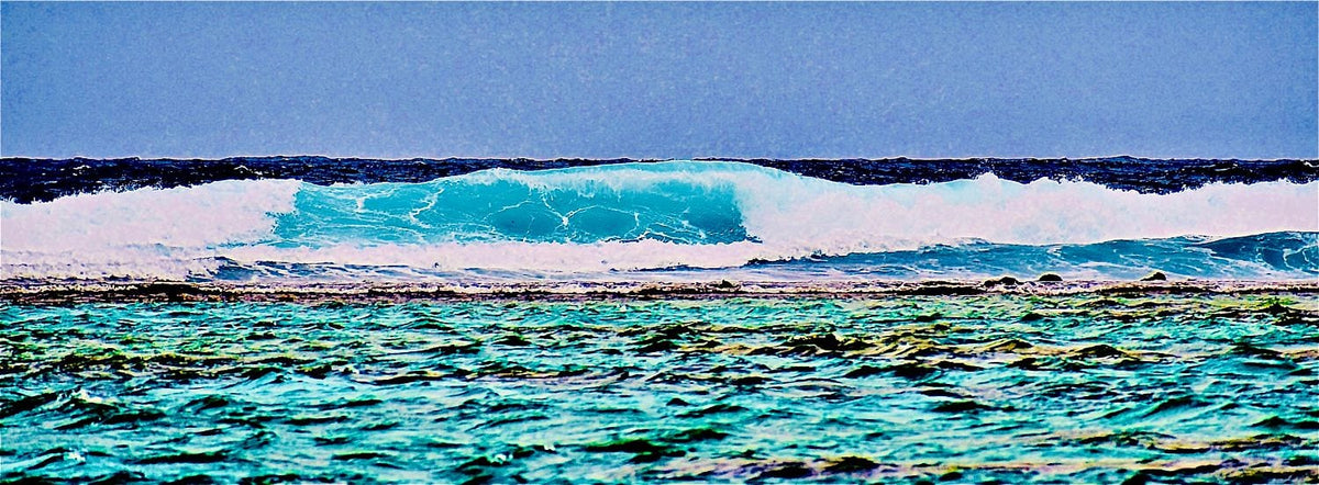 The Perfect Wave
