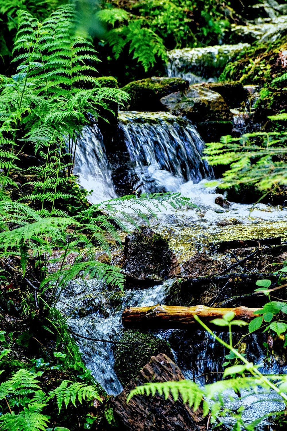 A Beautiful Summer Waterfall on the Fjord
