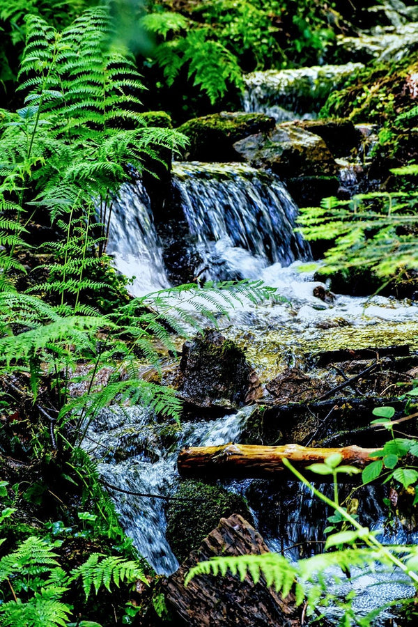 A Beautiful Summer Waterfall on the Fjord