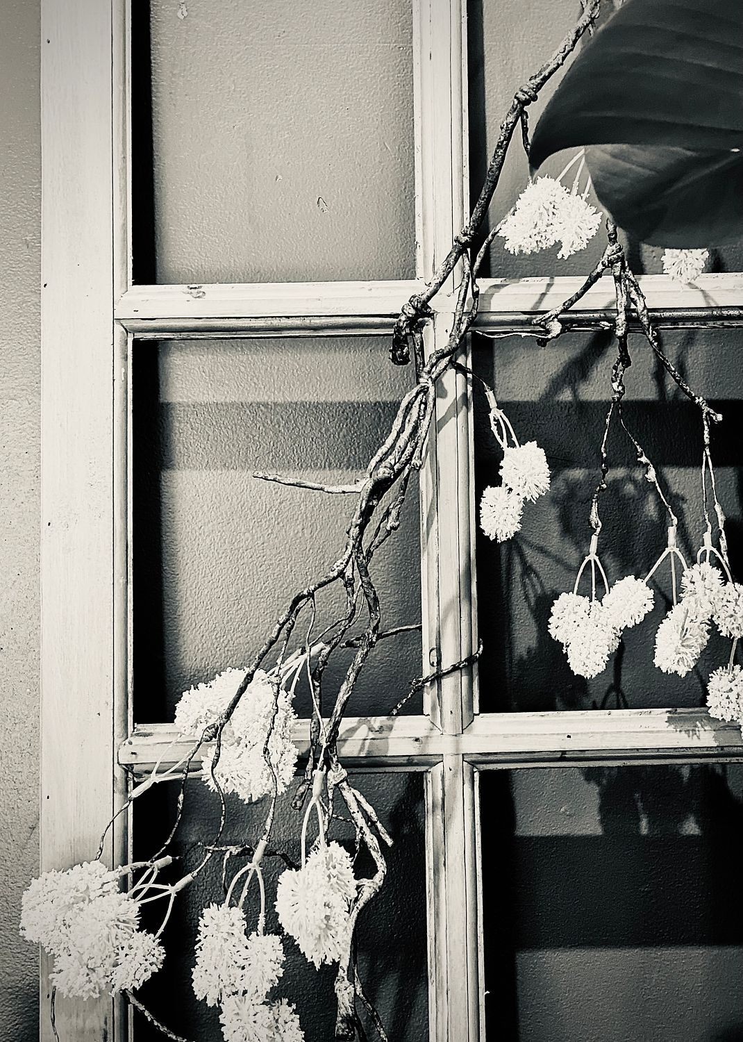 A Window Pane Featuring Dried Roses