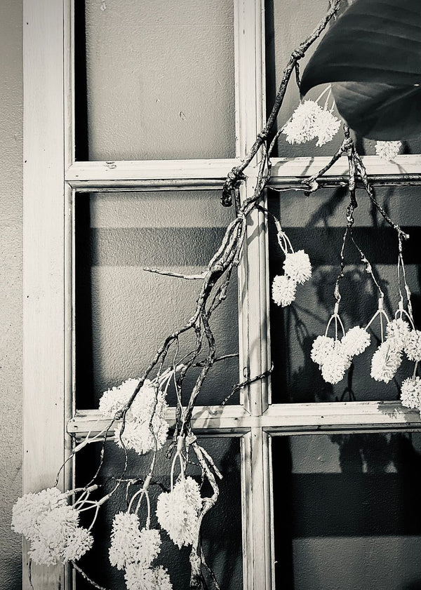 A Window Pane Featuring Dried Roses