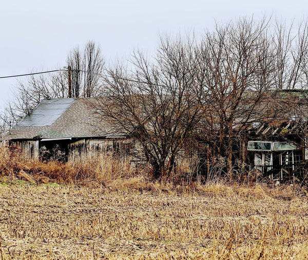 Former Moonshine Building