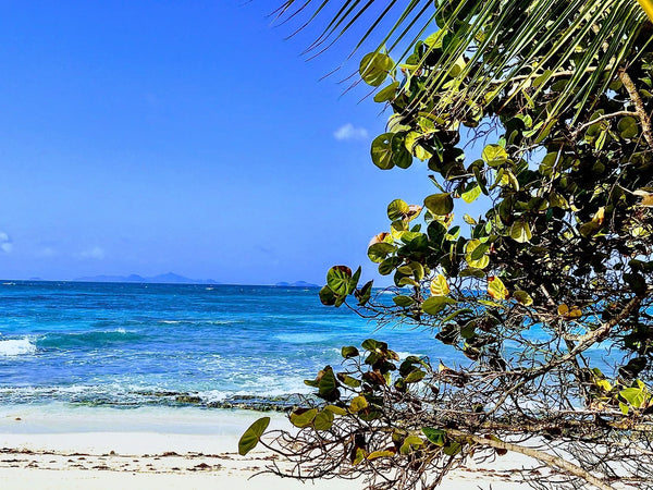 Grand Cayman Island Beach