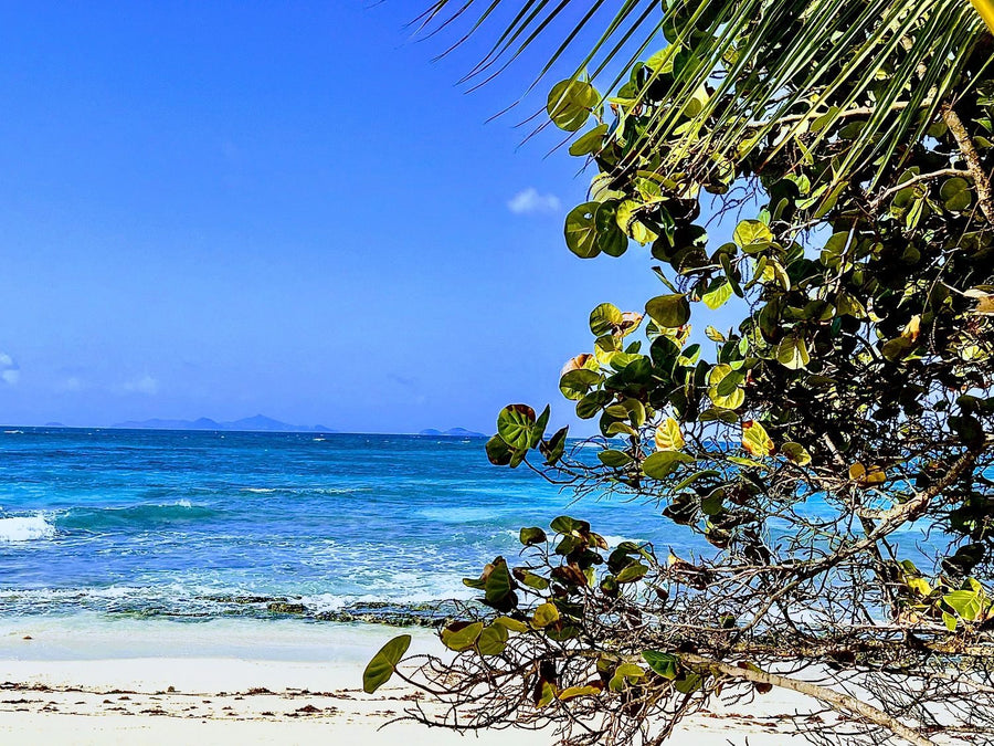 Grand Cayman Island Beach — Tropical & Coastal Escapes collection