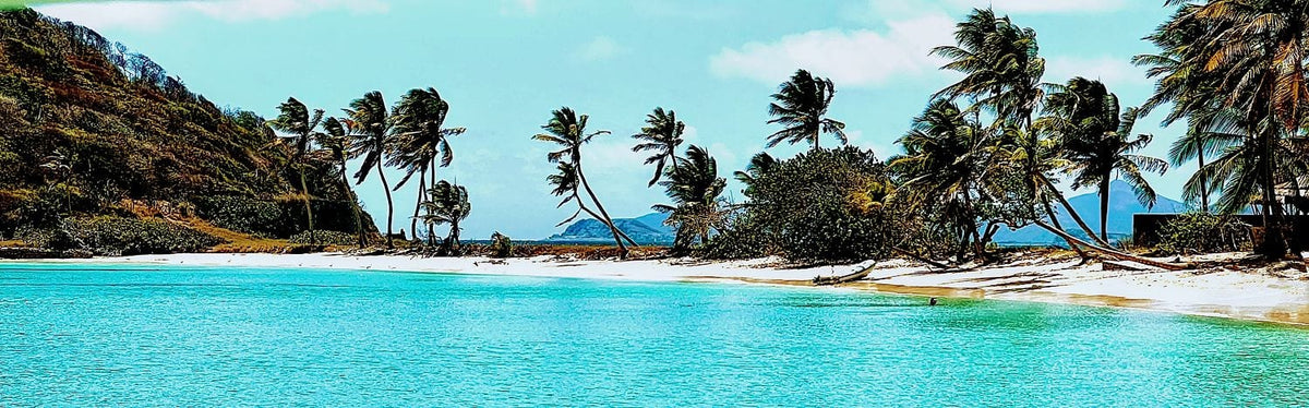 Island Paradise