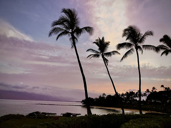 Kaanapali Beach on Maui, Hawaii