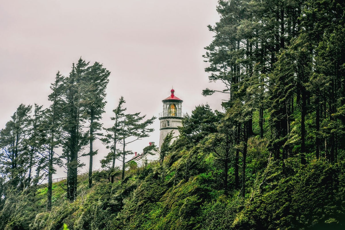 Lighthouse Sitting Above an Oregon Beach