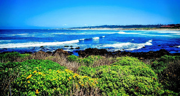 Monterey Bay and the Natural Beauty
