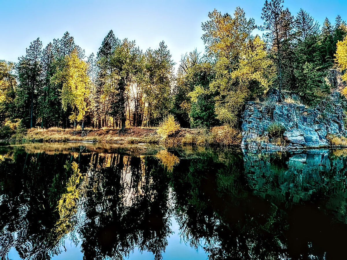 Northwest Reflection on the River