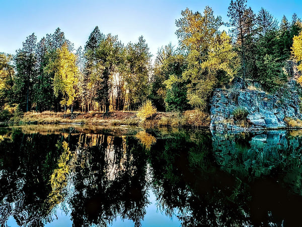 Northwest Reflection on the River