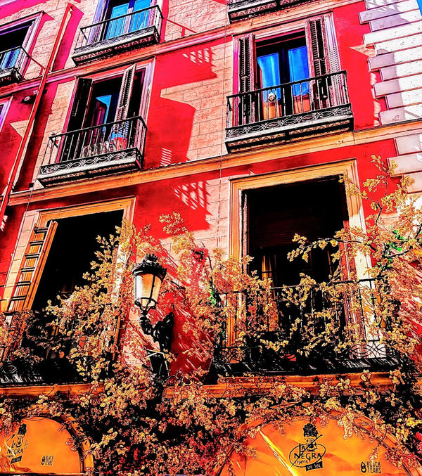 Porto Colorful Flower House