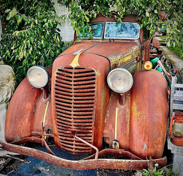 Rusted Truck in the Michigan Woods