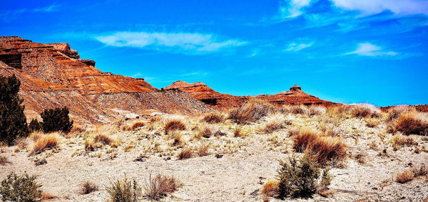 Southwest Rugged Landscape