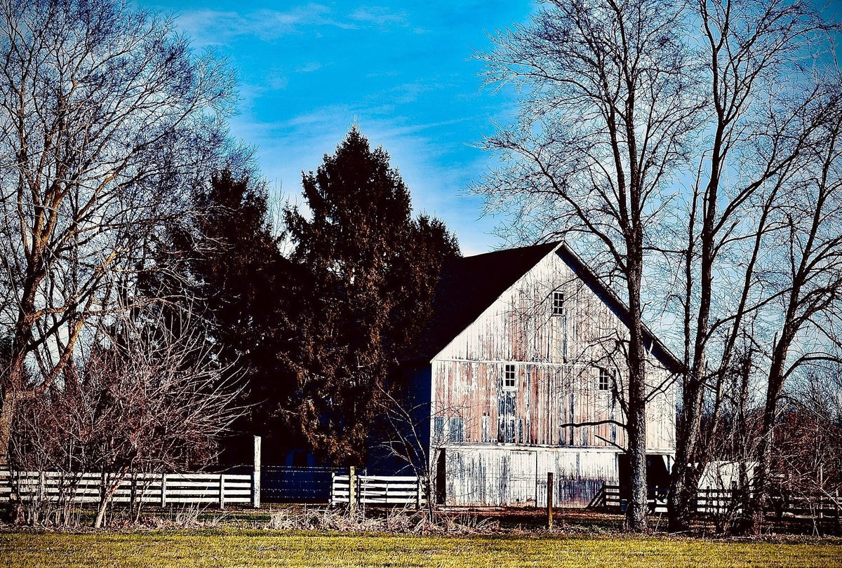 Time Worn Barn