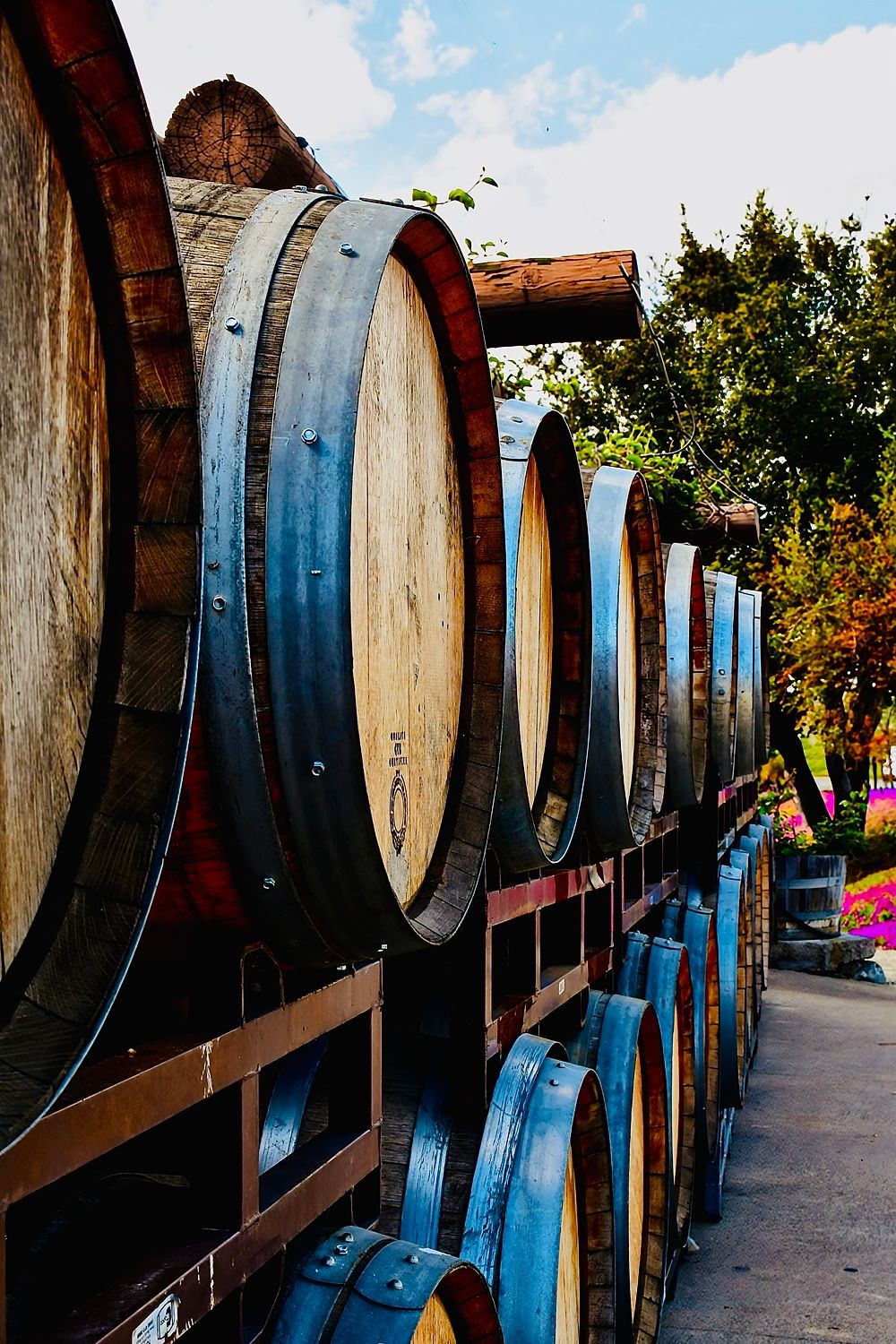 Toasted Oak Casks for Wine Aging