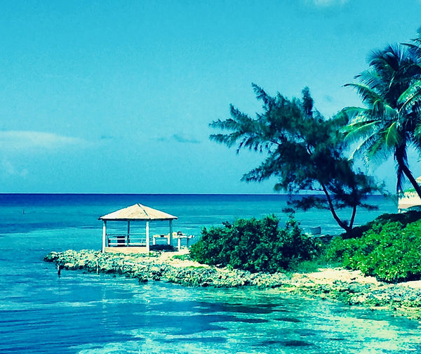 Turtle Cove Cayman Islands